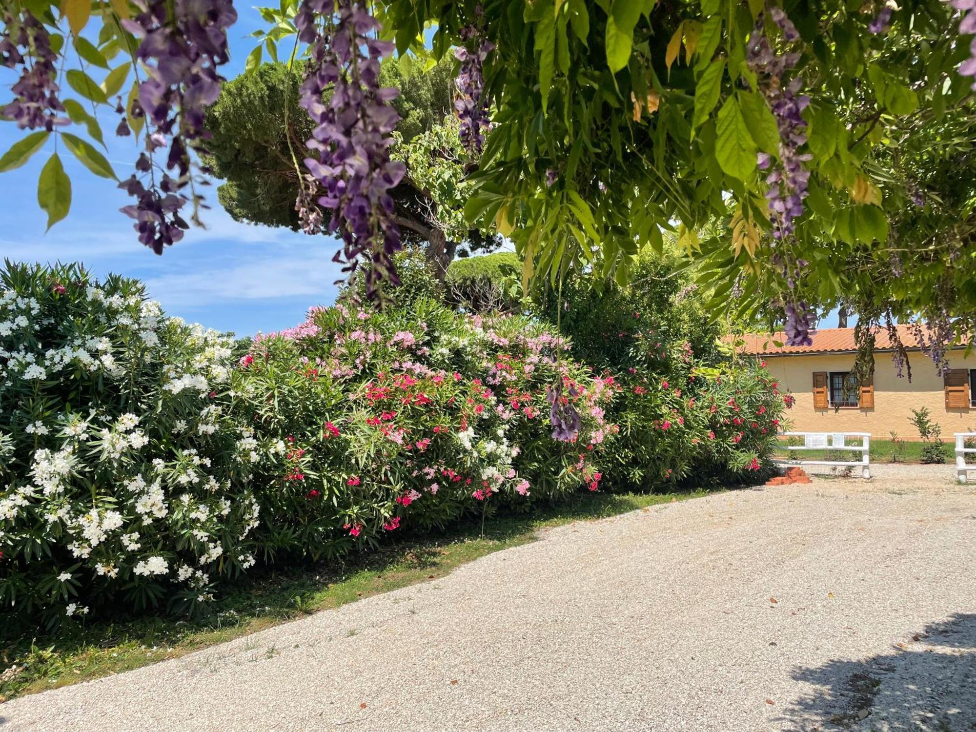 Agriturismo La Valle - By Podere Arundineto Castagneto Carducci Dış mekan fotoğraf