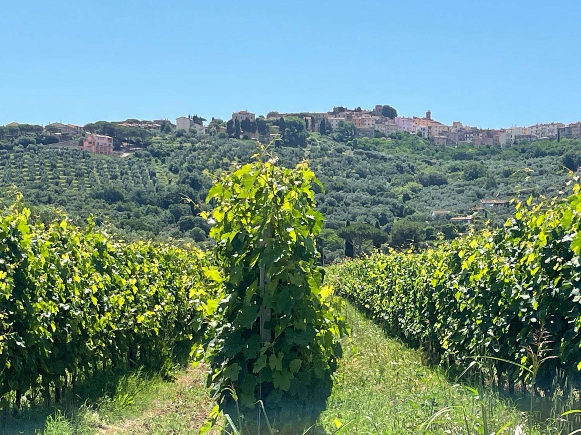 Agriturismo La Valle - By Podere Arundineto Castagneto Carducci Dış mekan fotoğraf